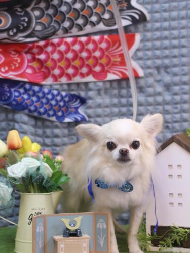 20230516りゅうくん